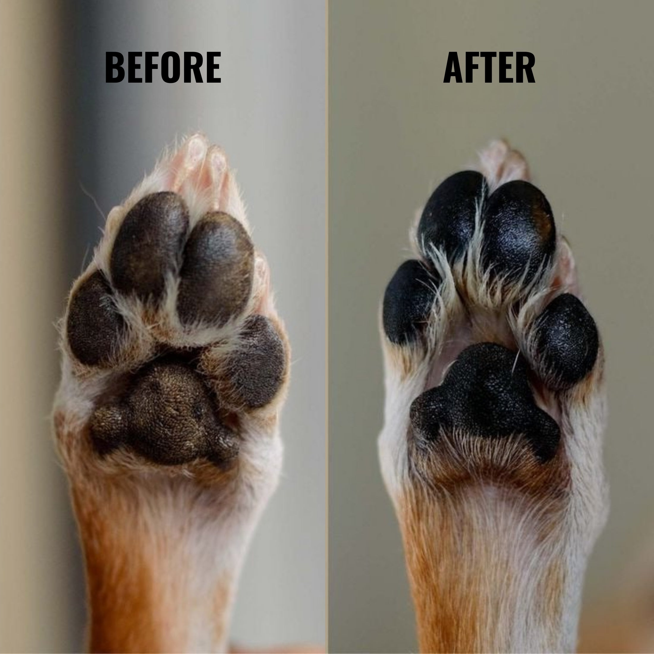 Before and after comparison of a dog's paw pads on a plain background